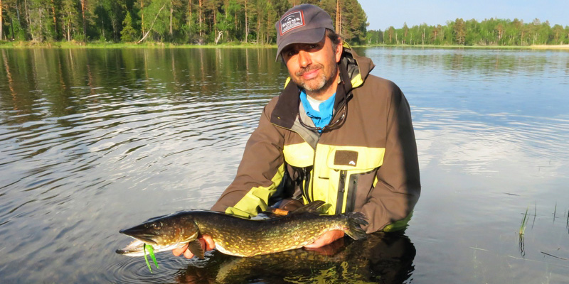 :